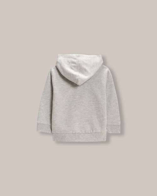 Sudadera Hoodie Abierta Gris
